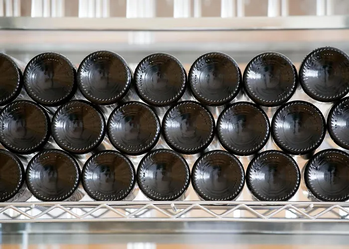 Hotel The Agir Springs By Medplaya (adults Only)